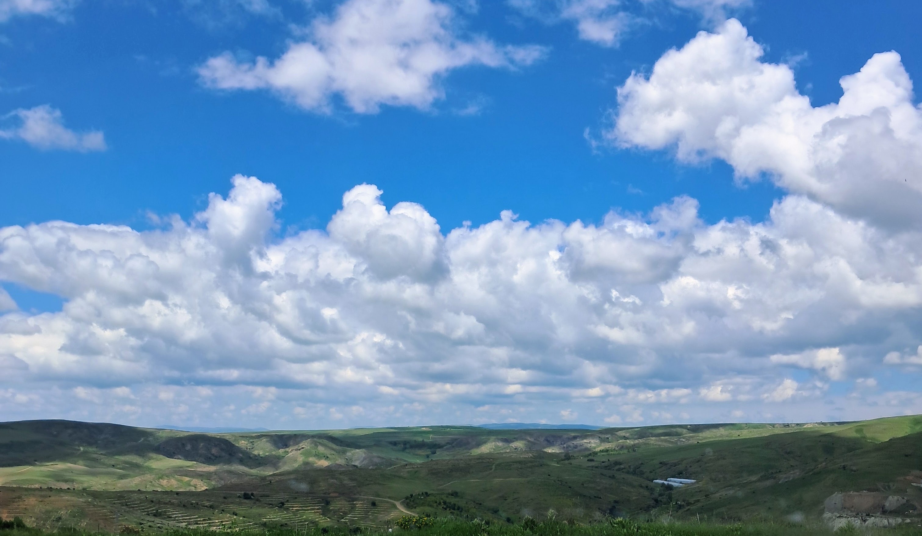 A panoramic landscape featuring rolling green hills under a blue sky filled with scattered white cumulus clouds. Small pieces of vegetation cover the distant hillsides, and terraced fields are visible in the mid-ground. The lower edge of the frame includes a foreground of dark green foliage.