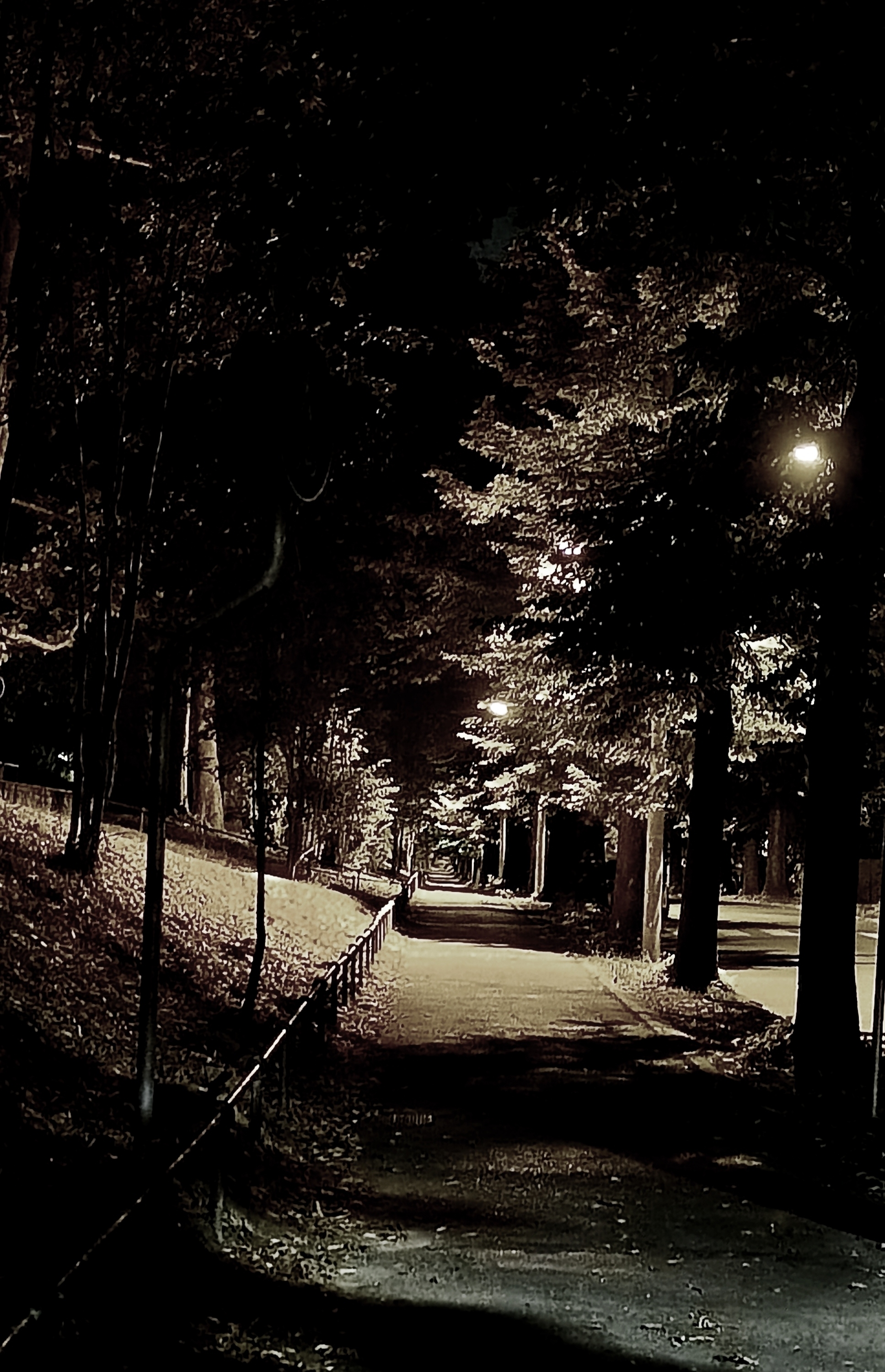 Un viale deserto di notte.