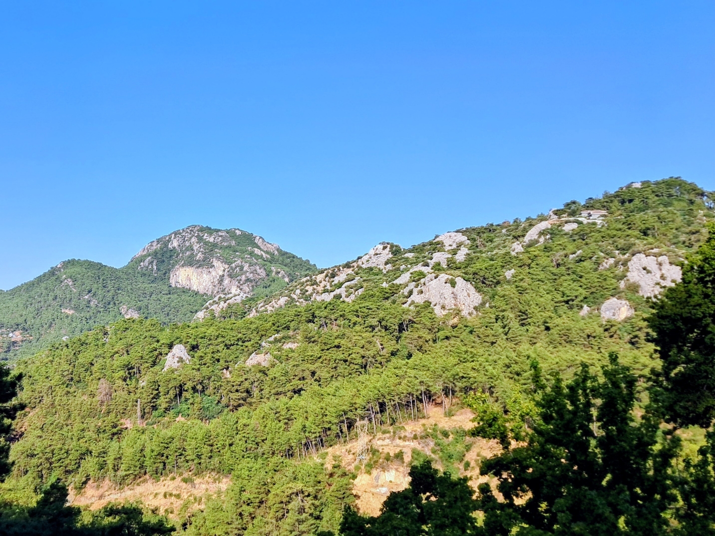 A scenic view of pine-covered mountain slopes under a clear blue sky. Rocky outcrops peak through the dense forest, with what appears to be a small structure or building placed on the distant ridge in the upper right. Dark green foliage fills the bottom and right edges of the frame in the foreground.