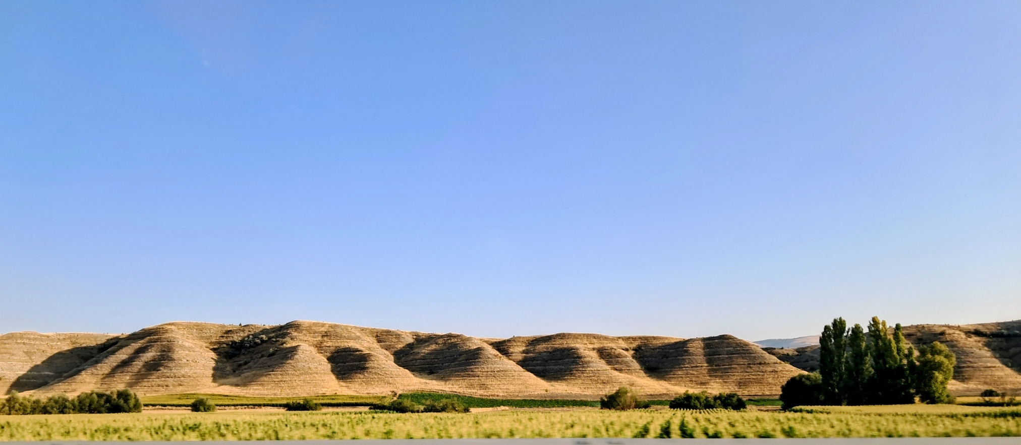 A wide landscape wiht rolling brown hills with distinct horizontal ridges under a blue sky. At the foot of the hills, a flat green field stretches across the foreground, bordered by low shrubs and a dense cluster of tall green trees on the right.