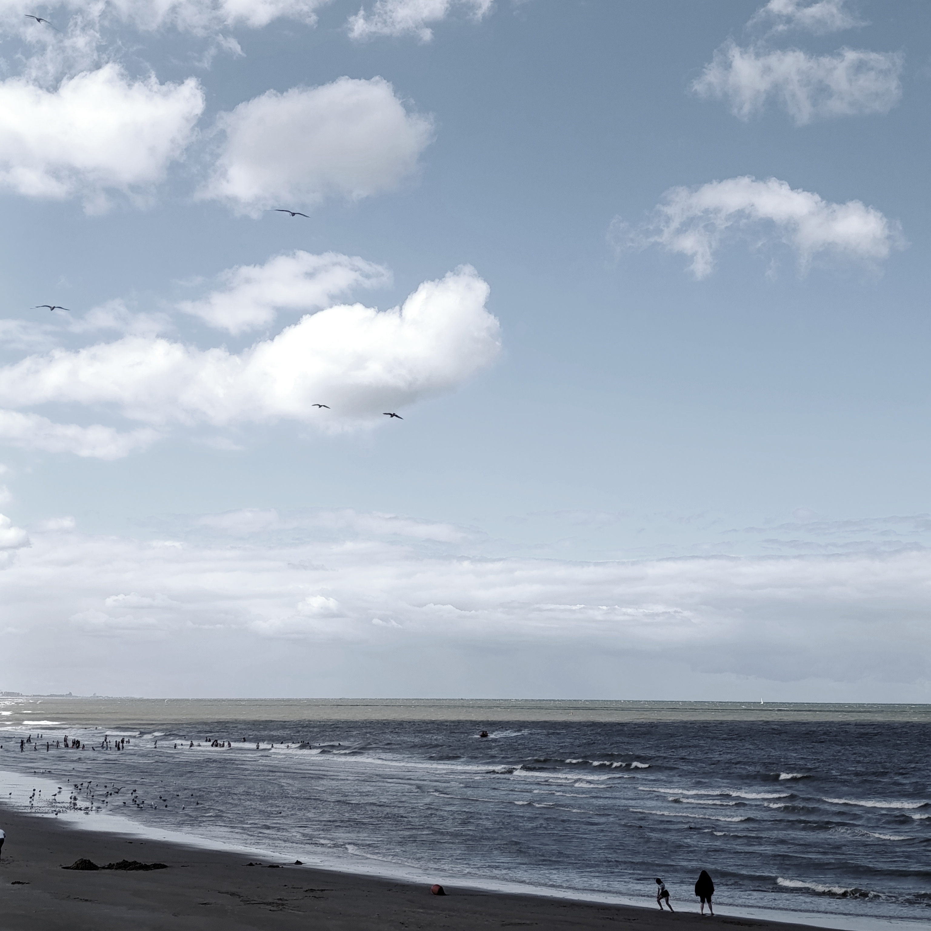 Spiaggia sul Mare del Nord. L'acqua si presenta con varie sfumature, dal grigio, al blu al verde.