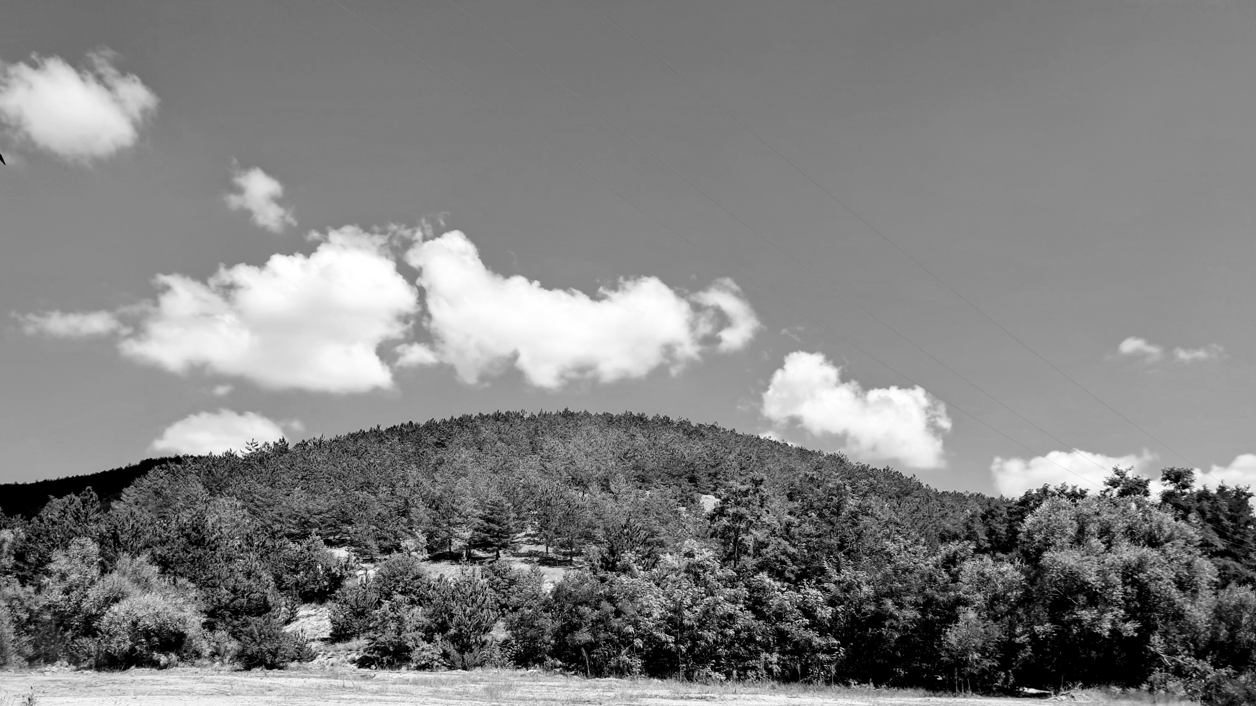 A round forested hill beneath a blue sky with fluffy white clouds. The foreground features a dry field bordered by the thick clusters of trees and shrubs. Several faint diagonal utility lines stretch across the upper right portion of the sky.