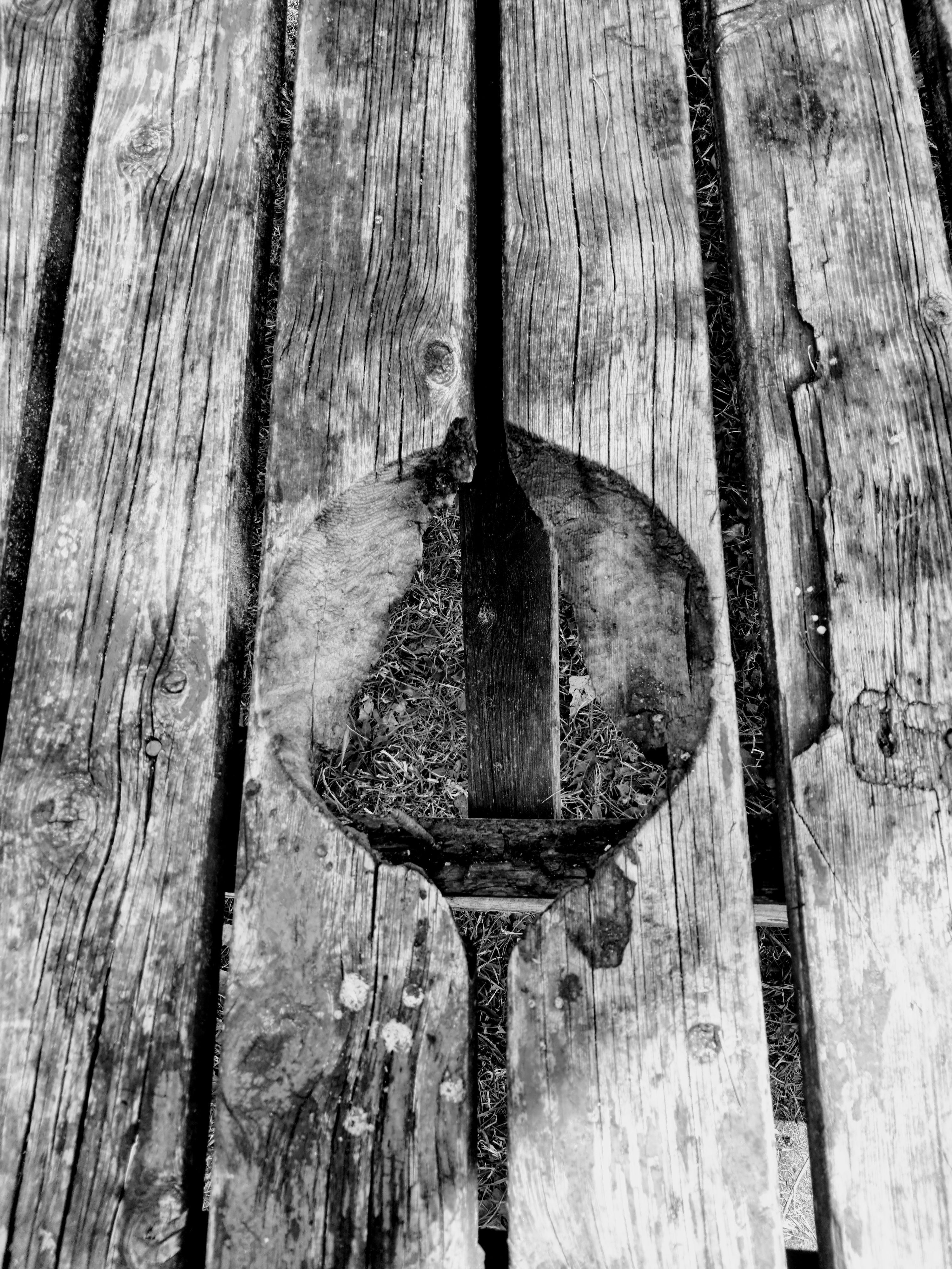 A weathered wooden desk with vertically aligned planks featuring a large circular hole burnt out in the center. The wood is highly textured with deep grain, surface cracks, and dark patches. Through the central circular opening and the narrow gaps between the boards, the ground below is visible, revealing dry grass and dirt.