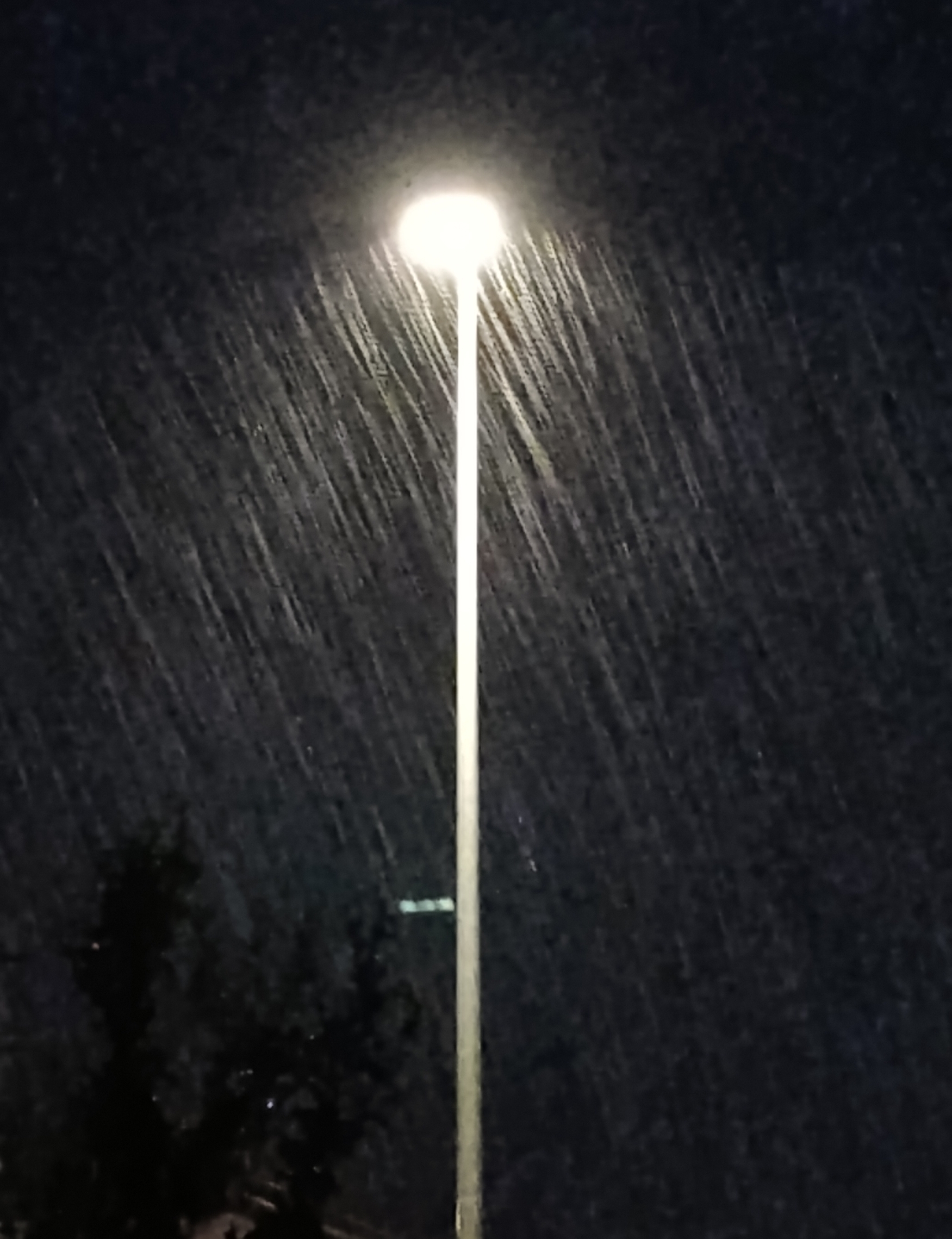 Pioggia notturna illuminata da un lampione. Foto in bianco e nero.