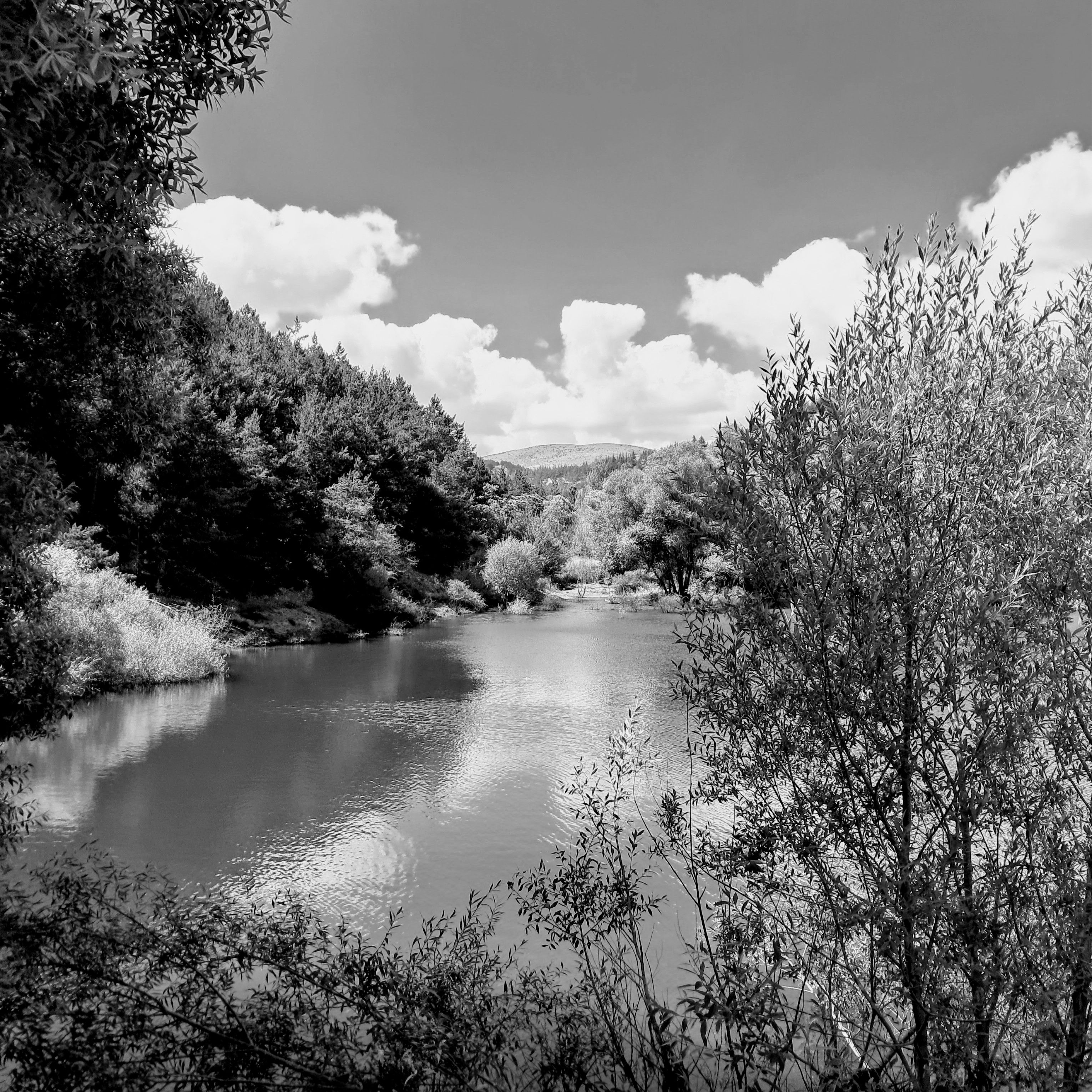 A view of a calm lake bordered by dense forest under a partly cloudy blue sky that casts distinct reflections on the mostly smooth water surface. Leafy branches and trees heavily surround the immediate foreground on both sides. In the distant background, there are rolling hills and a mountain in the further distance.