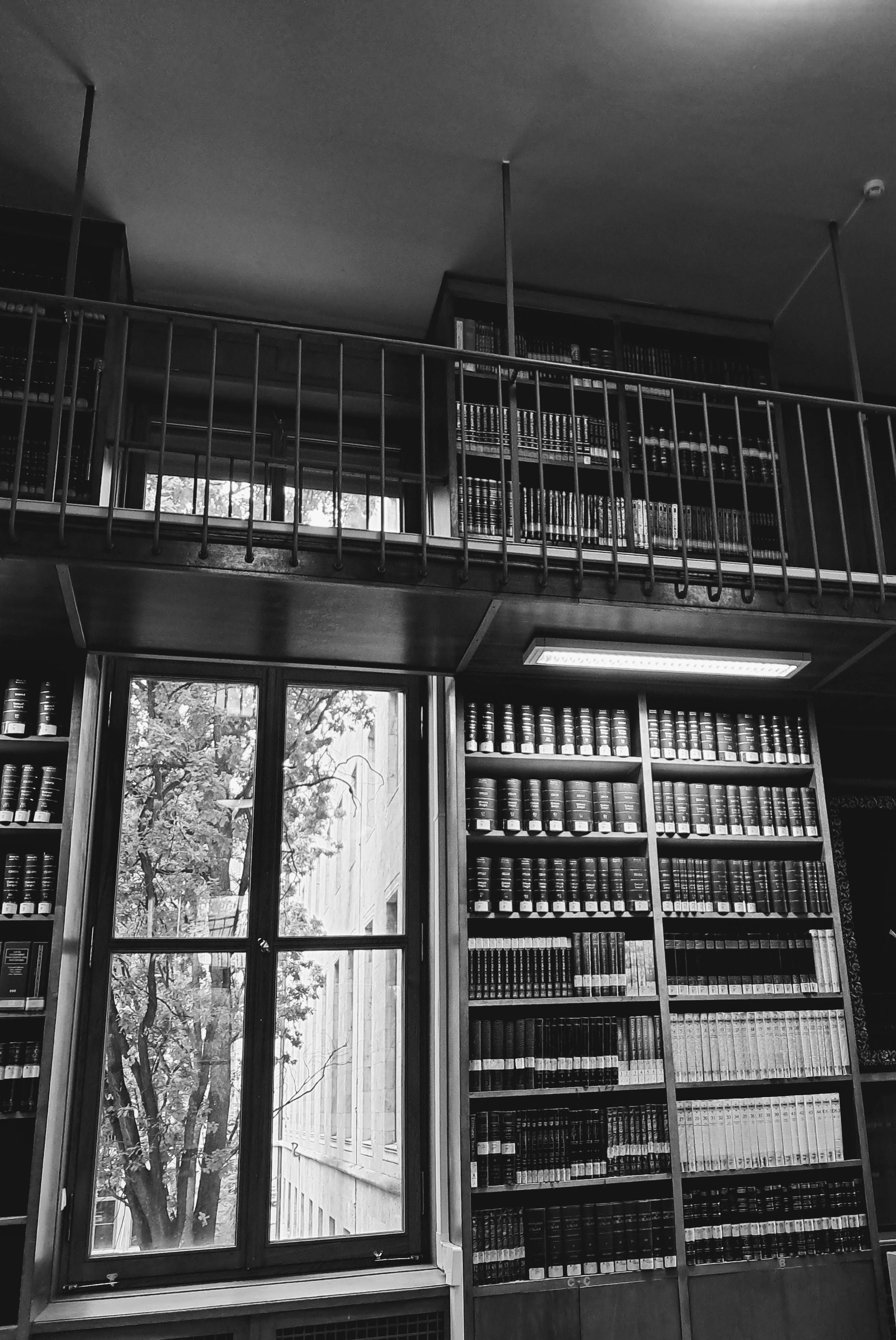 A multi-level library room featuring towering wooden bookshelves packed with uniform hardcover volumes. A second-story mezzanine with a dark metal railing wraps overhead, holding another tier of book-filled shelves beneath the ceiling. To the left, a tall window divided into multiple panes reveals leafy tree branches and an adjacent exterior wall outside. A horizontal light fixture illuminates the lower shelves.